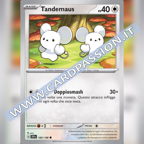 160/198 Tandemaus | Scarlatto e Violetto