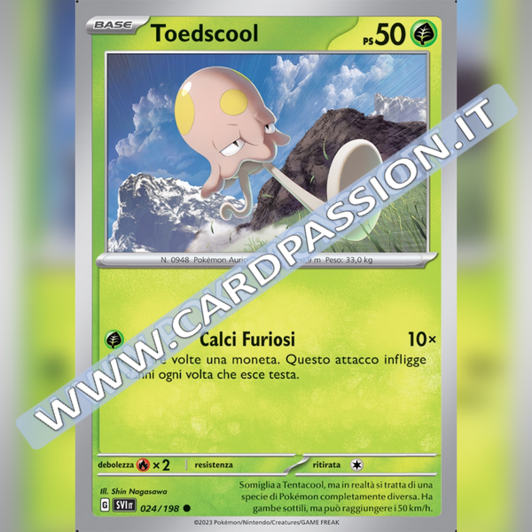 024/198 Toedscool | Scarlatto e Violetto