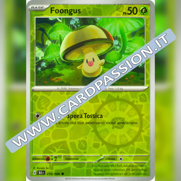 010/086 Fongus Reverse | Luce Nera