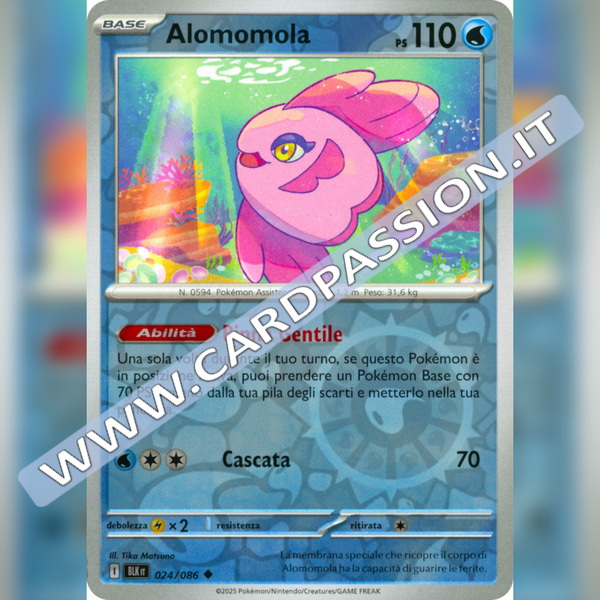 024/086 Alomomola Reverse | Luce Nera