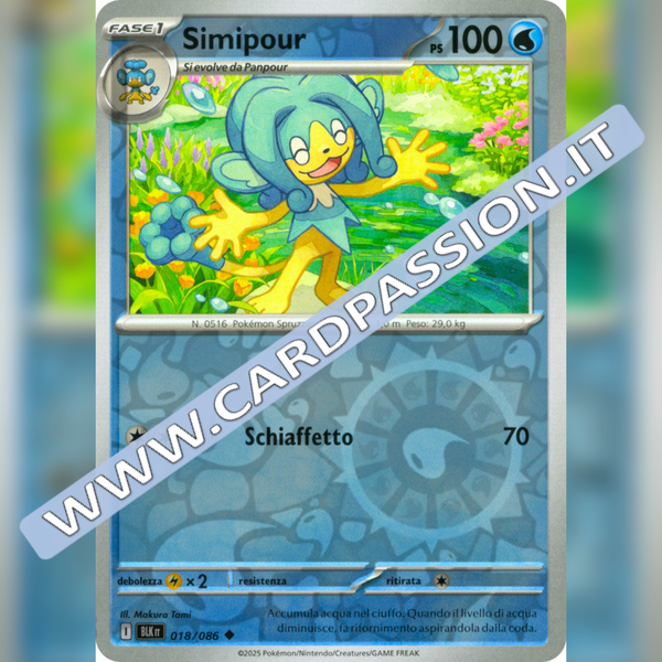 018/086 Simipour Reverse | Luce Nera