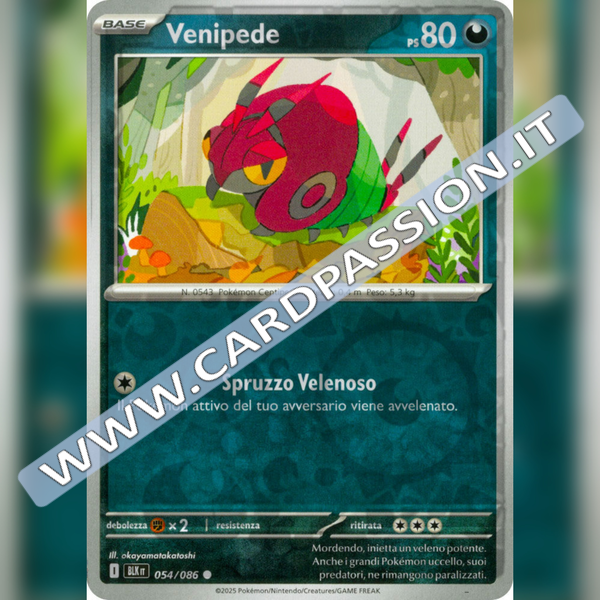 054/086 Venipede Reverse | Luce Nera