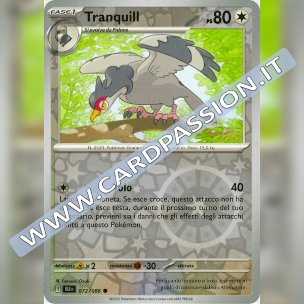 072/086 Tranquill Reverse | Luce Nera