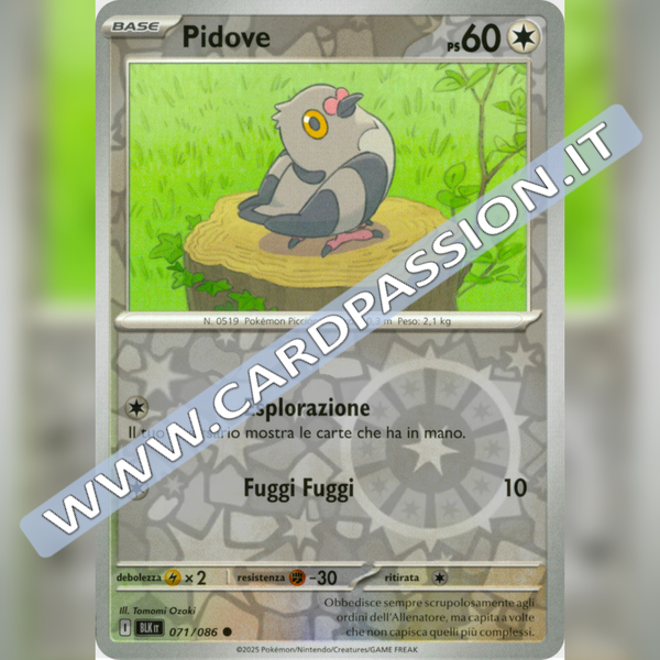 071/086 Pidove Reverse | Luce Nera