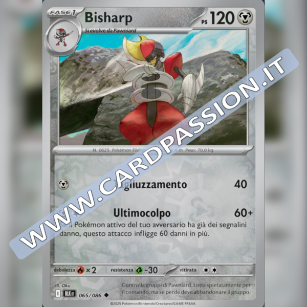 065/086 Bisharp Reverse | Luce Nera