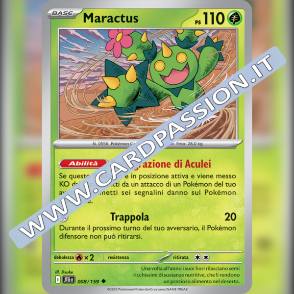 008/159 Maractus | Avventure Insieme