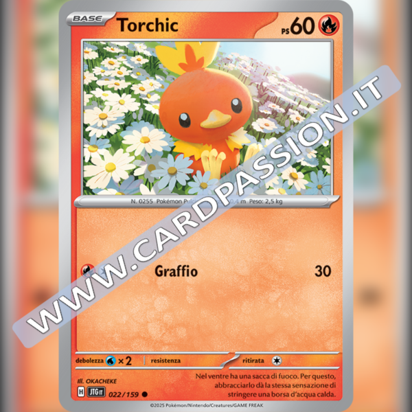 022/159 Torchic | Avventure Insieme