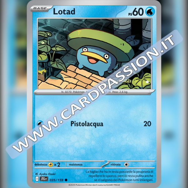 035/159 Lotad | Avventure Insieme