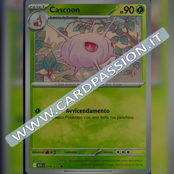 014/217 Cascoon Reverse | Ascesa Eroica