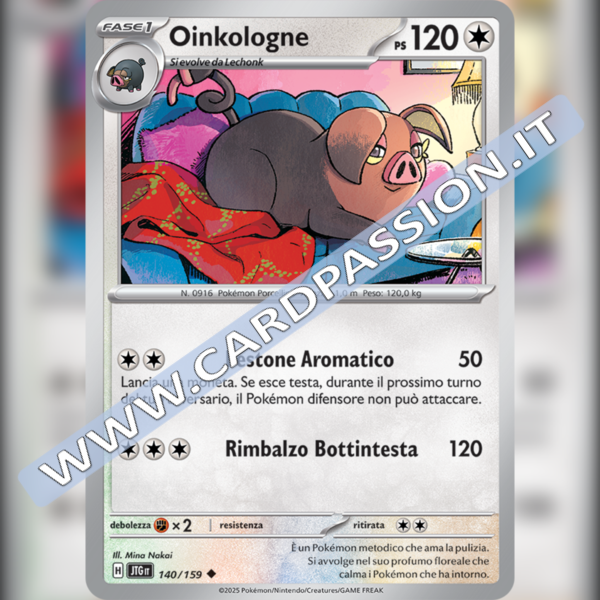 140/159 Oinkologne | Avventure Insieme
