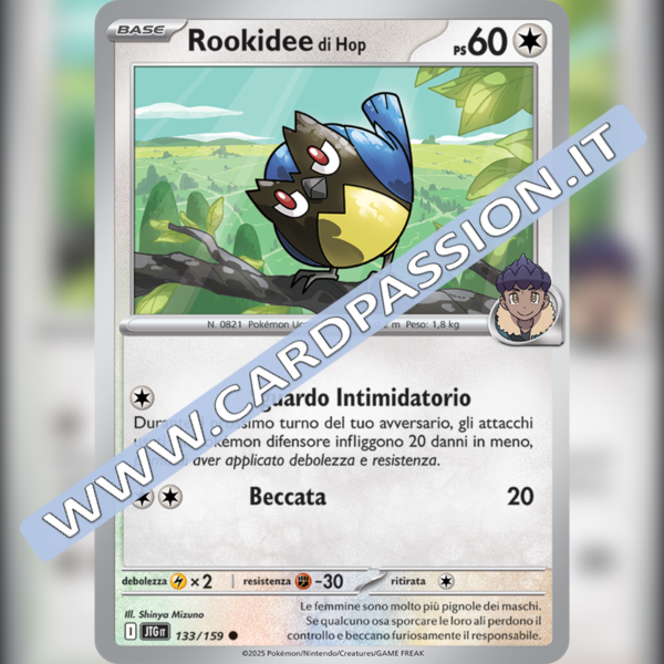 133/159 Rookidee di Hop | Avventure Insieme