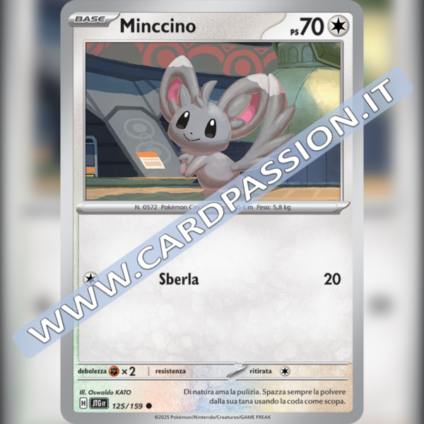 125/159 Minccino | Avventure Insieme