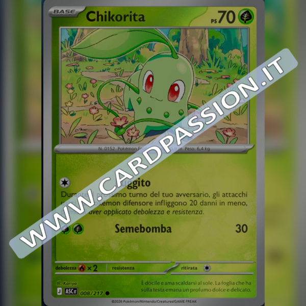 008/217 Chikorita Poke Ball Reverse | Ascesa Eroica