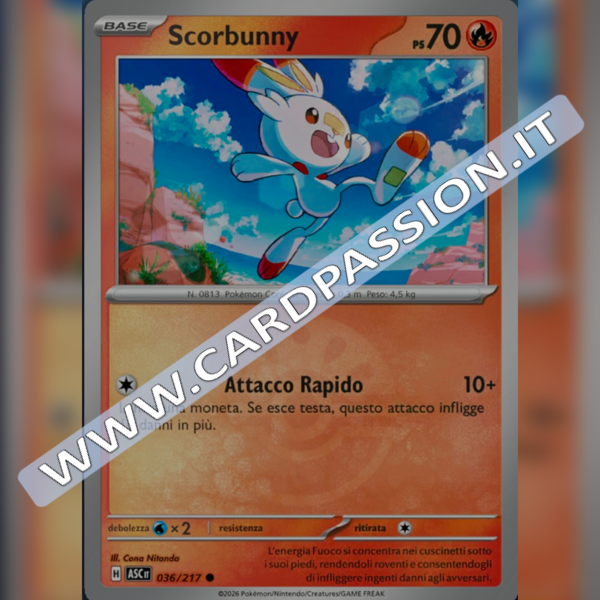 036/217 Scorbunny Poke Ball Reverse | Ascesa Eroica