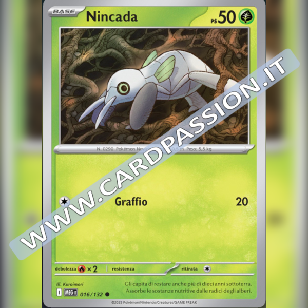 016/132 Nincada | Megaevoluzione