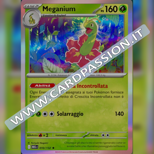 010/132 Meganium Holo | Megaevoluzione