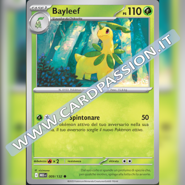 009/132 Bayleef | Megaevoluzione
