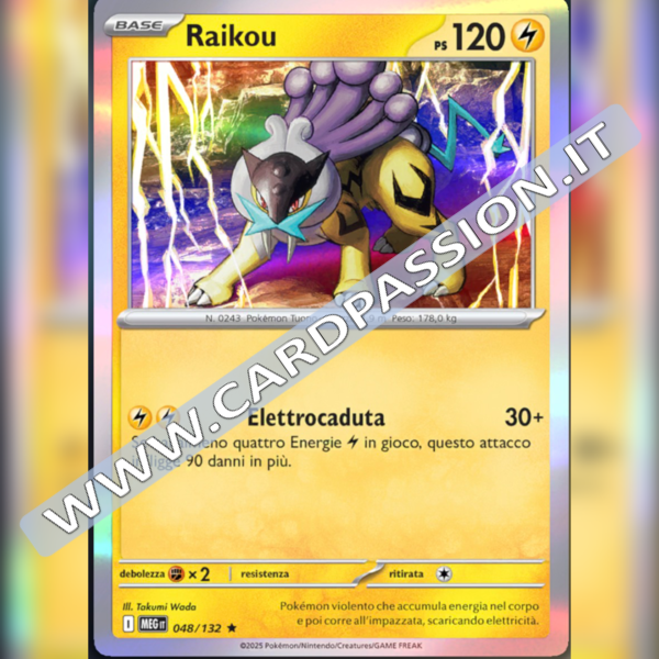 048/132 Raikou Holo | Megaevoluzione