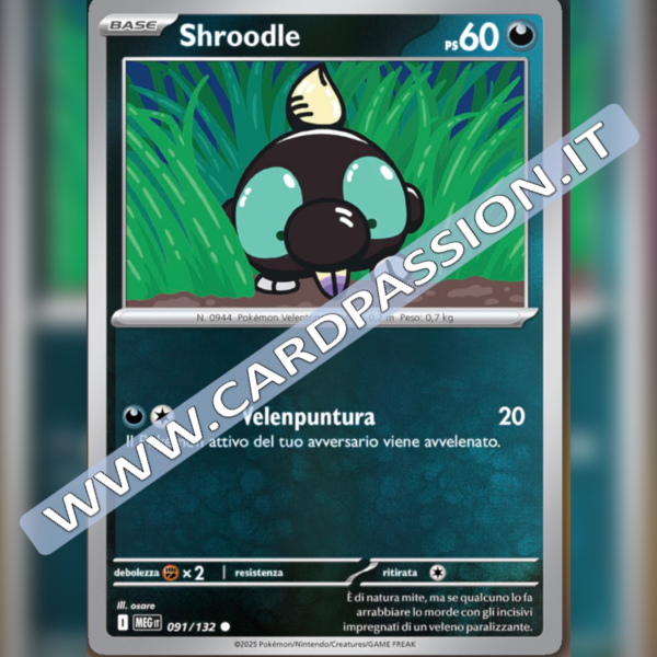 091/132 Shroodle Reverse | Megaevoluzione