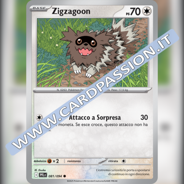 081/094 Zigzagoon | Fiamme Spettrali
