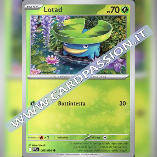 005/094 Lotad Reverse | Fiamme Spettrali