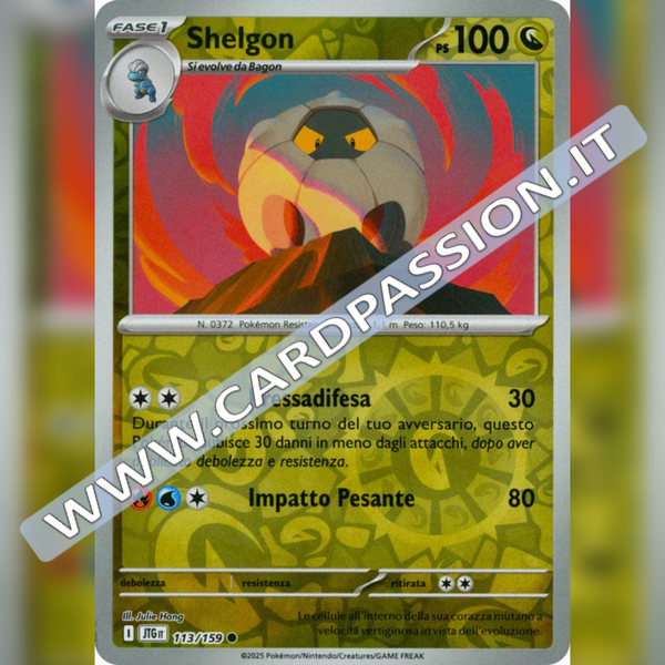 113/159 Shelgon Reverse | Avventure Insieme