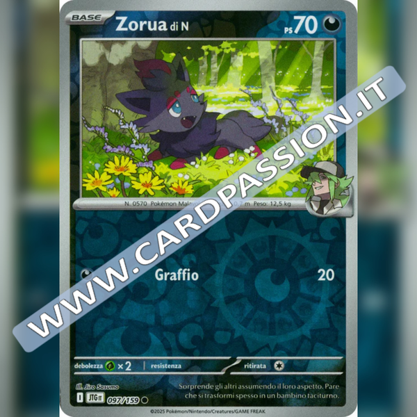 097/159 Zorua di N Reverse | Avventure Insieme