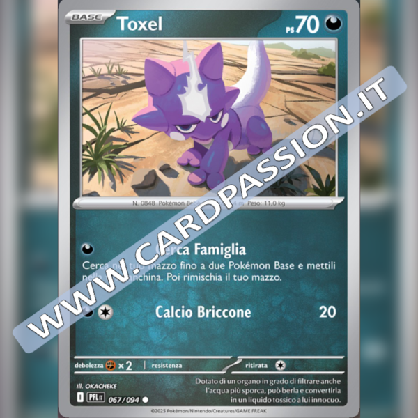 067/094 Toxel Reverse | Fiamme Spettrali