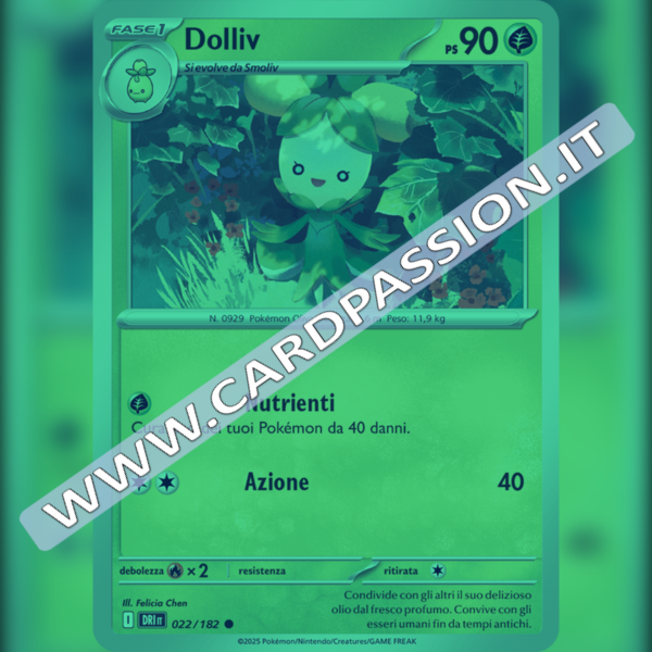 022/182 Dolliv Reverse | Rivali Predestinati