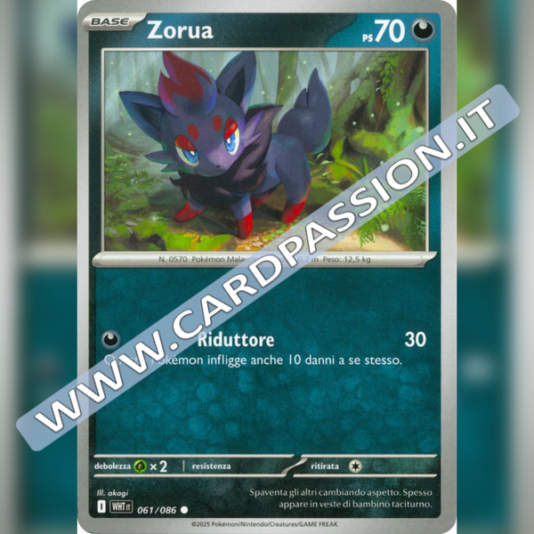 061/086 Zorua | Fuoco Bianco