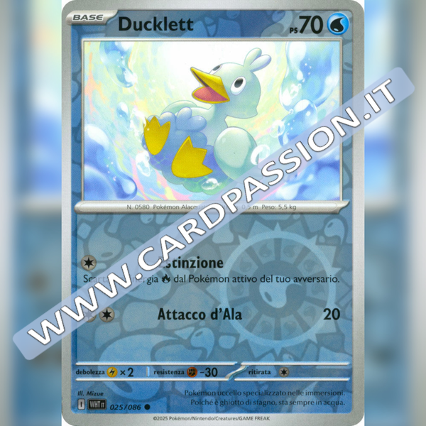 025/086 Ducklett Reverse | Fuoco Bianco