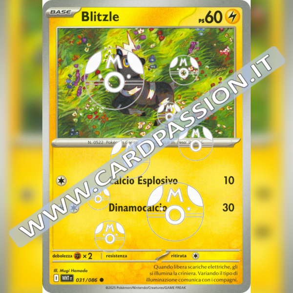 031/086 Blitzle Master Ball Reverse | Fuoco Bianco