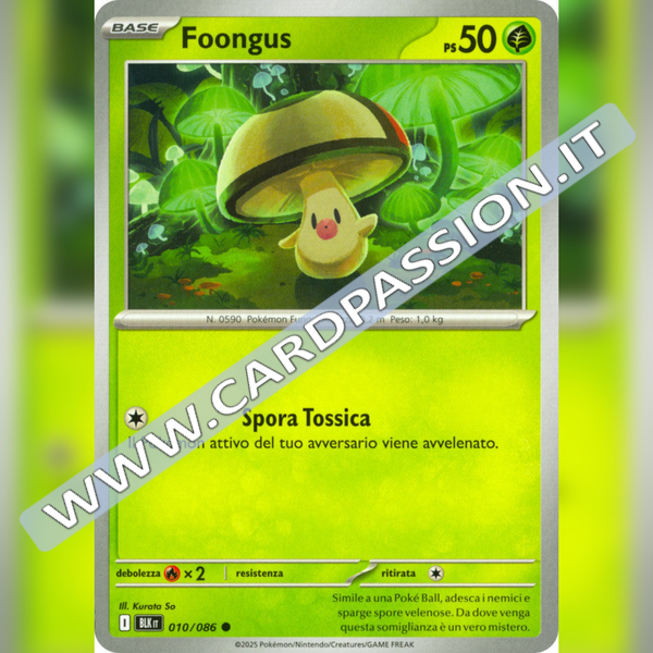 010/086 Fongus | Luce Nera