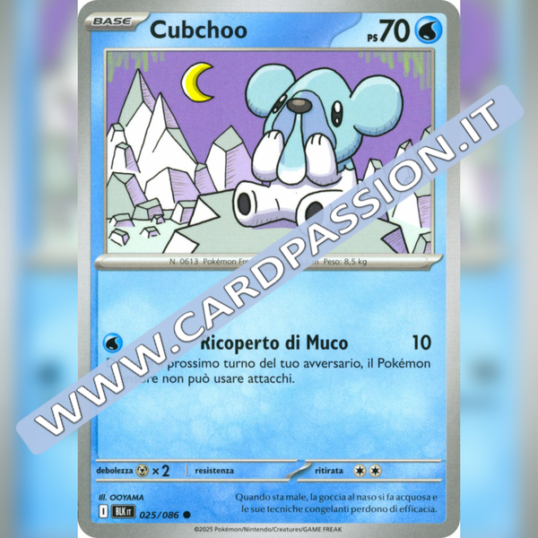 025/086 Cubchoo | Luce Nera