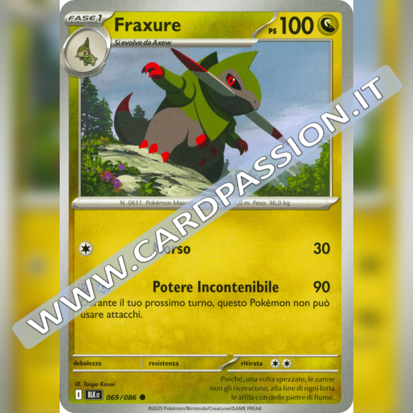 069/086 Fraxure | Luce Nera
