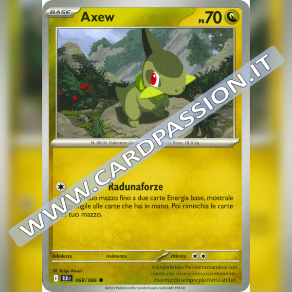 068/086 Axew | Luce Nera