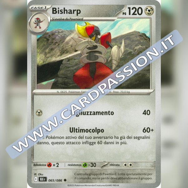065/086 Bisharp | Luce Nera