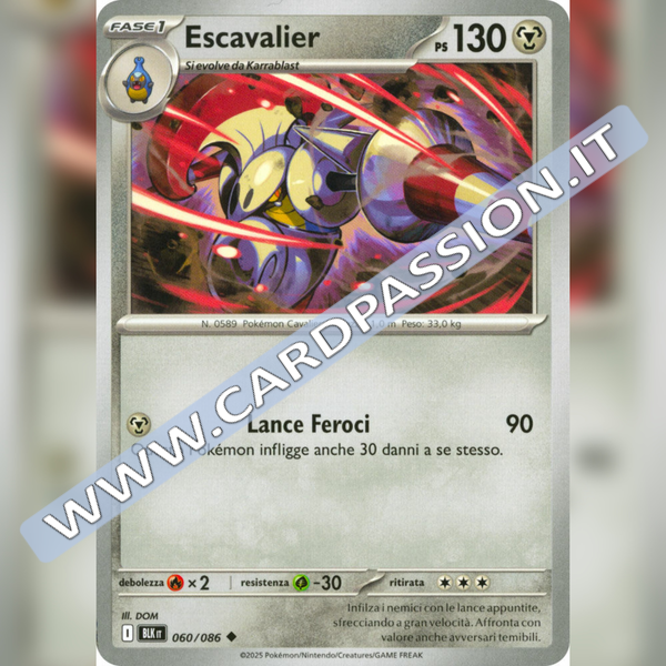 060/086 Escavalier | Luce Nera