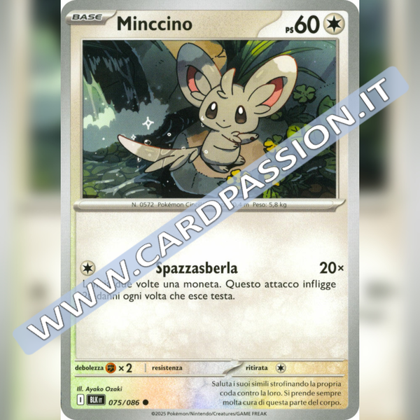 075/086 Minccino | Luce Nera