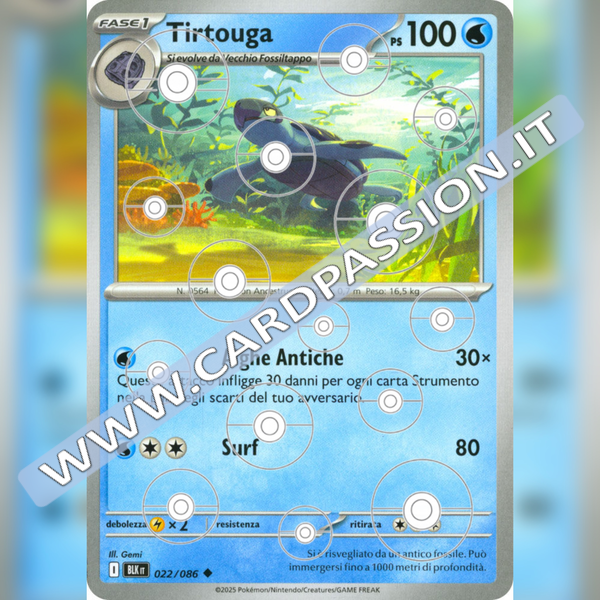 022/086 Tirtouga Poke Ball Reverse | Luce Nera