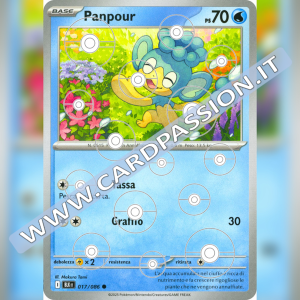017/086 Panpour Poke Ball Reverse | Luce Nera