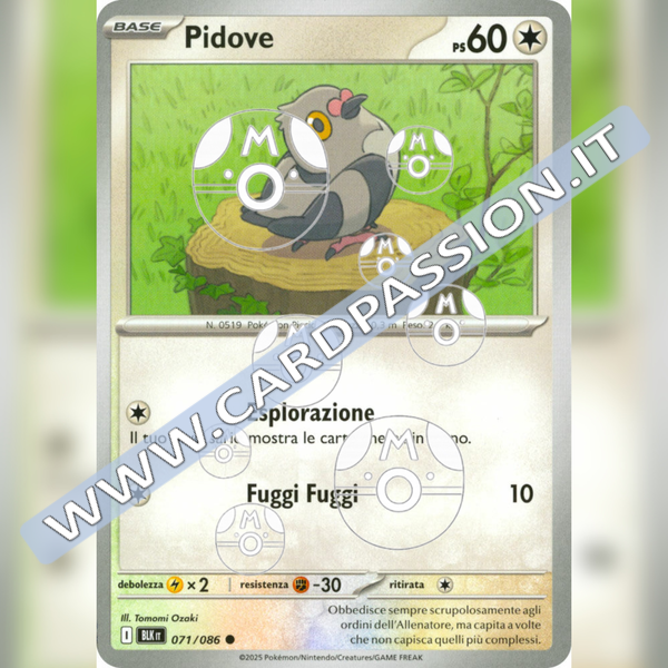 071/086 Pidove Master Ball Reverse | Luce Nera