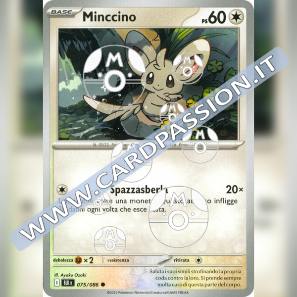 075/086 Minccino Master Ball Reverse | Luce Nera