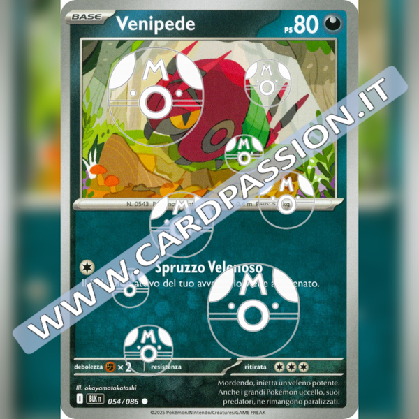 054/086 Venipede Master Ball Reverse | Luce Nera