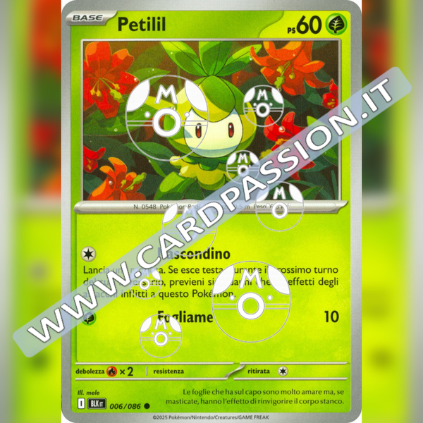 006/086 Petilil Master Ball Reverse | Luce Nera