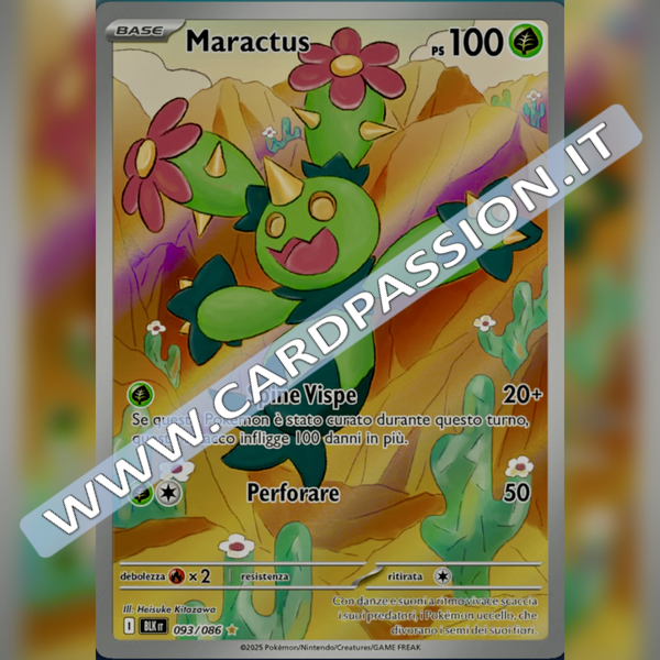 093/086 Maractus Illustrazione Rara | Luce Nera