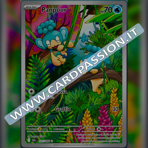 101/086 Panpour Illustrazione Rara | Luce Nera