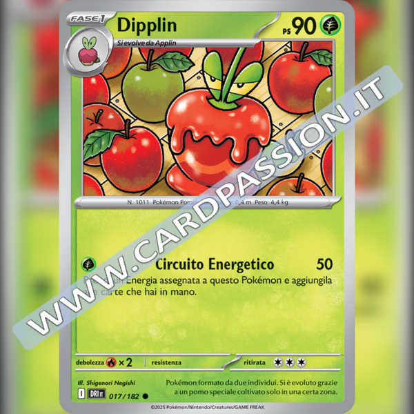 017/182 Dipplin | Rivali Predestinati