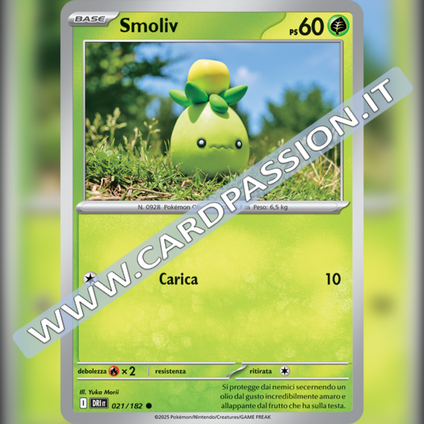 021/182 Smoliv | Rivali Predestinati