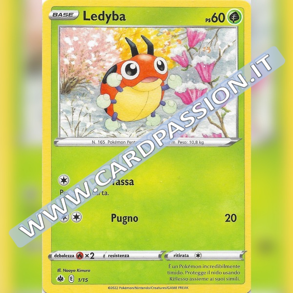01/15 Ledyba | Lotta Express McDonald's 2022